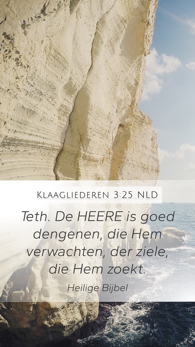 Klaagliederen 3:25 NLD Bible Verse Image