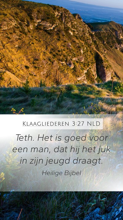 Klaagliederen 3:27 NLD Bible Verse Image