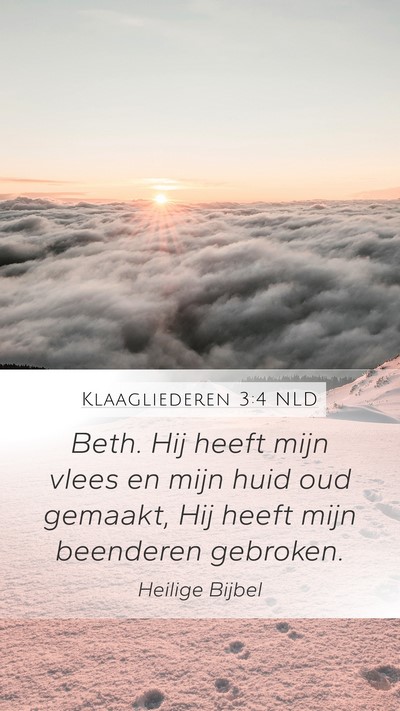 Klaagliederen 3:4 NLD Bible Verse Image