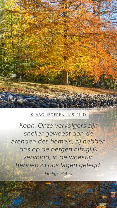 Klaagliederen 4:19 NLD Bible Verse Image