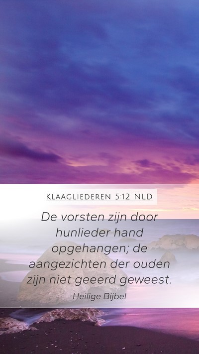 Klaagliederen 5:12 NLD Bible Verse Image