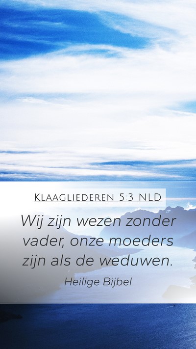 Klaagliederen 5:3 NLD Bible Verse Image
