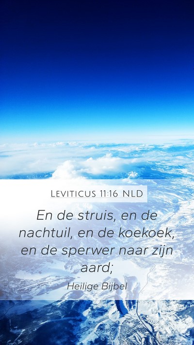 Leviticus 11:16 NLD Mobile Phone Wallpaper - En de struis, en de nachtuil, en de koekoek, en - Mobile Bible Verse Wallpaper
