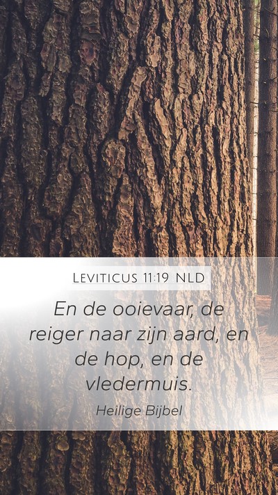 Leviticus 11:19 NLD Mobile Phone Wallpaper - En de ooievaar, de reiger naar zijn aard, en de - Mobile Bible Verse Wallpaper