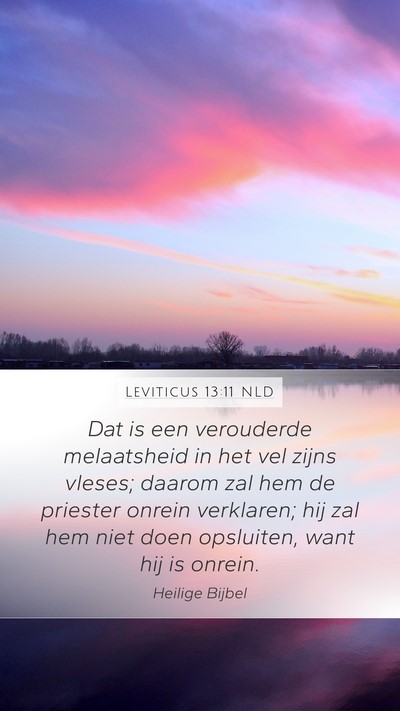 Leviticus 13:11 NLD Mobile Phone Wallpaper - Dat is een verouderde melaatsheid in het vel - Mobile Bible Verse Wallpaper