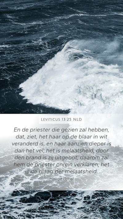 Leviticus 13:25 NLD Mobile Phone Wallpaper - En de priester die gezien zal hebben, dat, ziet, - Mobile Bible Verse Wallpaper