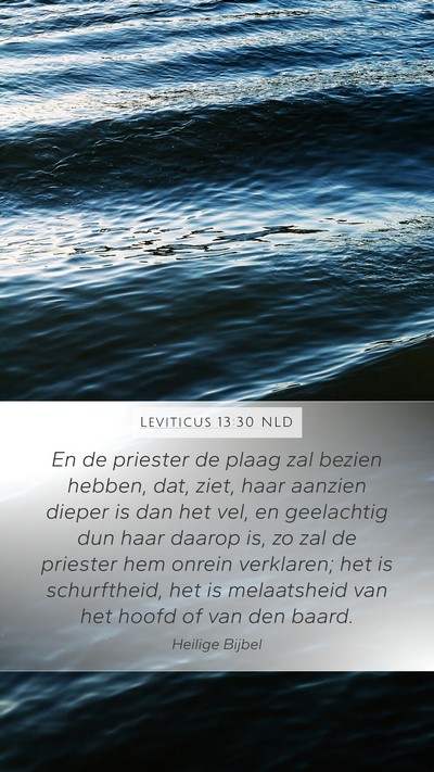 Leviticus 13:30 NLD Bible Verse Image