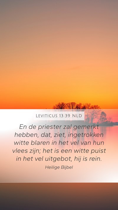 Leviticus 13:39 NLD Mobile Phone Wallpaper - En de priester zal gemerkt hebben, dat, ziet, - Mobile Bible Verse Wallpaper