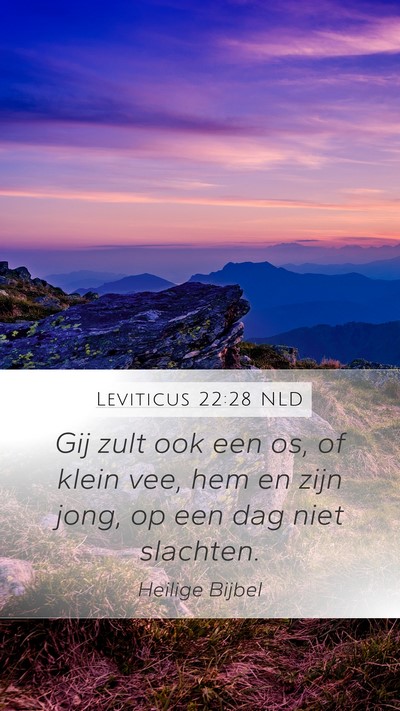 Leviticus 22:28 NLD Bible Verse Image
