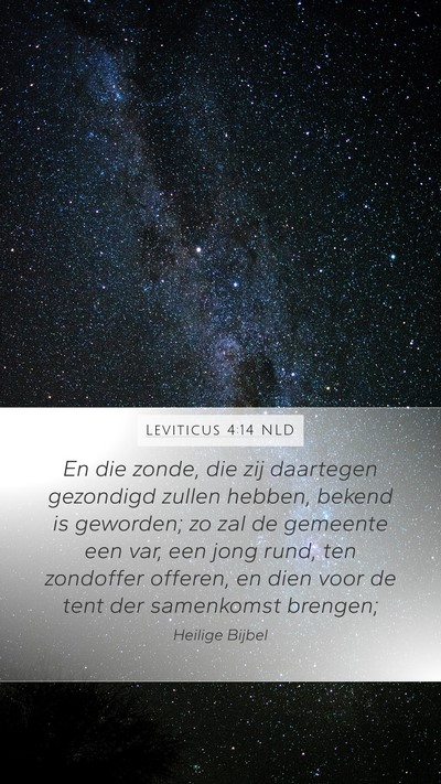Leviticus 4:14 NLD Bible Verse Image
