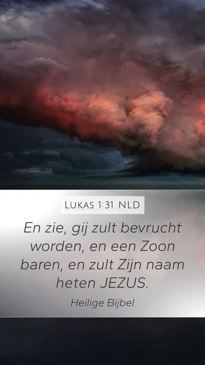 Lukas 1:31 NLD Bible Verse Image
