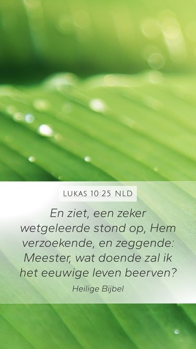 Lukas 10:25 NLD Bible Verse Image