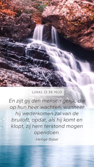 Lukas 12:36 NLD Bible Verse Image