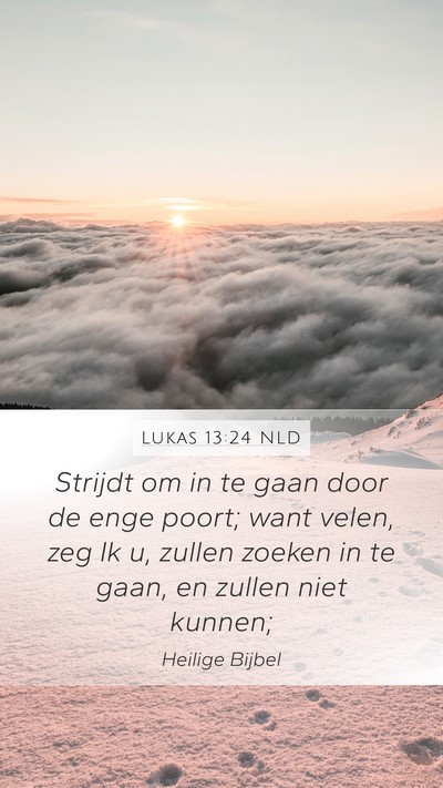 Lukas 13:24 NLD Bible Verse Image