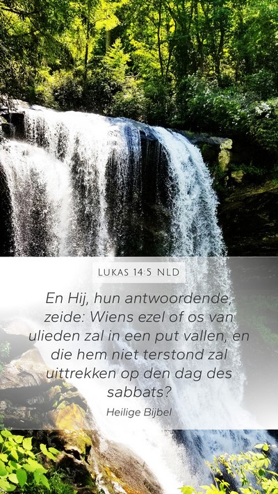 Lukas 14:5 NLD Bible Verse Image