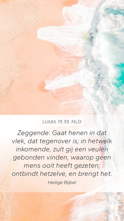 Lukas 19:30 NLD Bible Verse Image