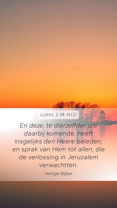 Lukas 2:38 NLD Mobile Phone Wallpaper - En deze, te dierzelfder ure daarbij komende, - Mobile Bible Verse Wallpaper