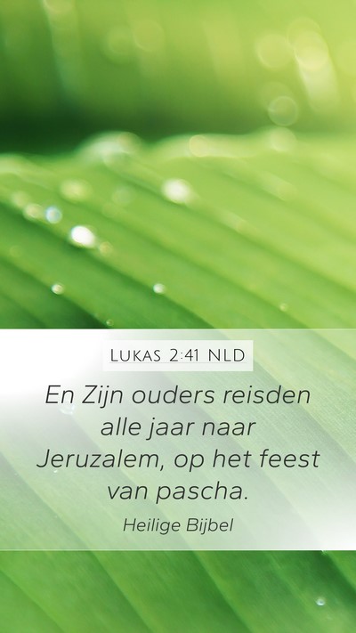 Lukas 2:41 NLD Mobile Phone Wallpaper - En Zijn ouders reisden alle jaar naar Jeruzalem, - Mobile Bible Verse Wallpaper