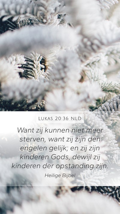 Lukas 20:36 NLD Bible Verse Image