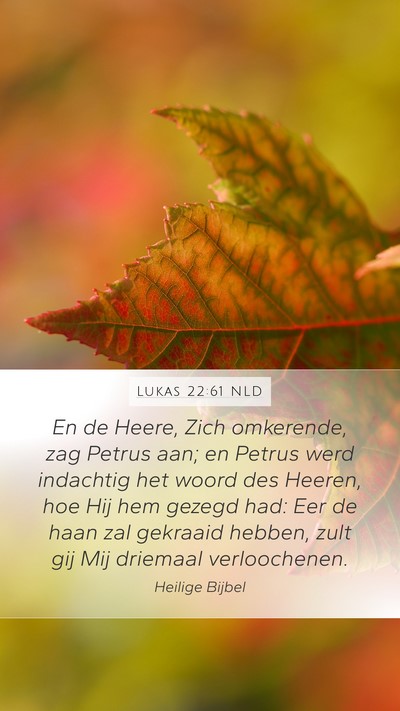 Lukas 22:61 NLD Mobile Phone Wallpaper - En de Heere, Zich omkerende, zag Petrus aan; en - Mobile Bible Verse Wallpaper