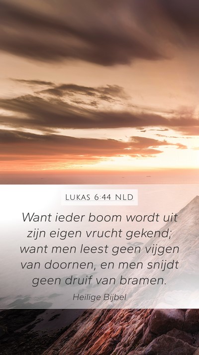 Lukas 6:44 NLD Bible Verse Image