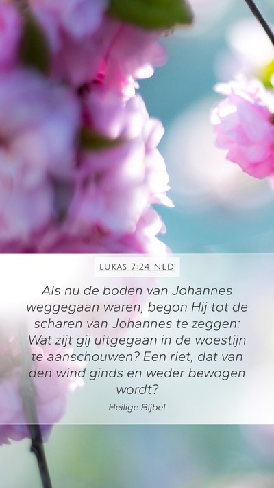 Lukas 7:24 NLD Bible Verse Image