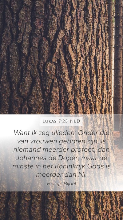 Lukas 7:28 NLD Bible Verse Image