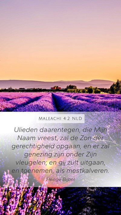 Maleachi 4:2 NLD Bible Verse Image