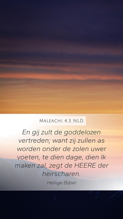 Maleachi 4:3 NLD Bible Verse Image
