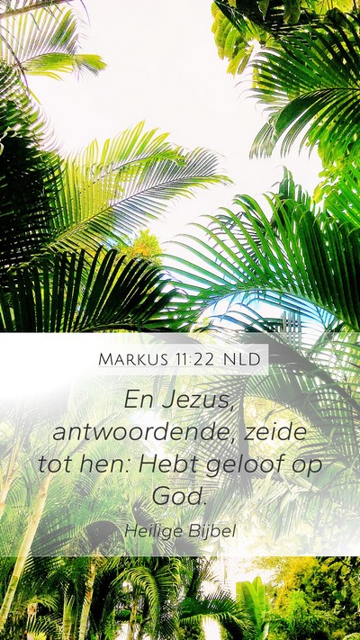 Markus 11:22 NLD Bible Verse Image