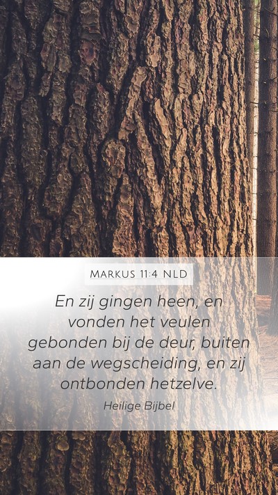 Markus 11:4 NLD Bible Verse Image