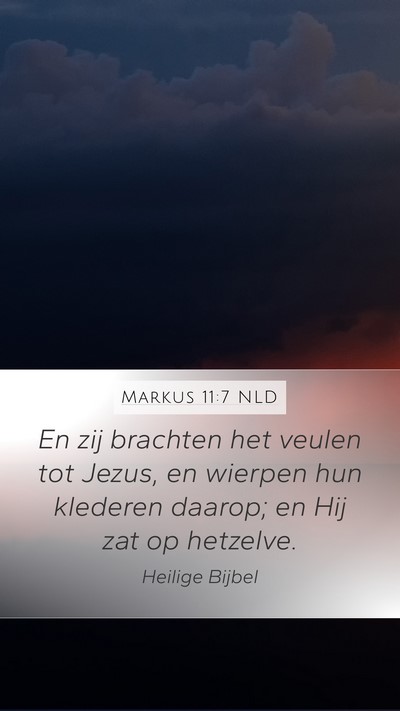 Markus 11:7 NLD Mobile Phone Wallpaper - En zij brachten het veulen tot Jezus, en wierpen - Mobile Bible Verse Wallpaper