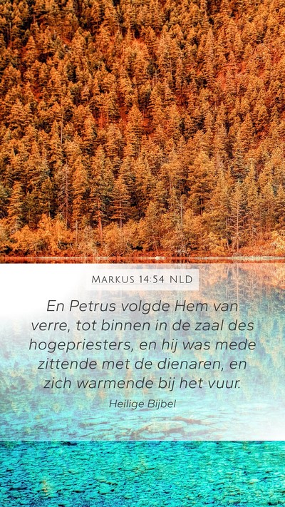 Markus 14:54 NLD Bible Verse Image