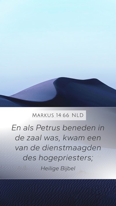 Markus 14:66 NLD Bible Verse Image