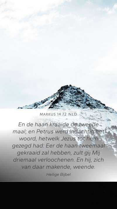 Markus 14:72 NLD Bible Verse Image