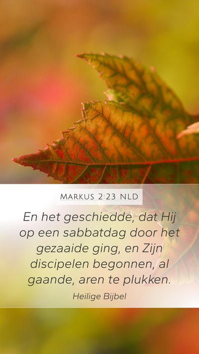 Markus 2:23 NLD Bible Verse Image