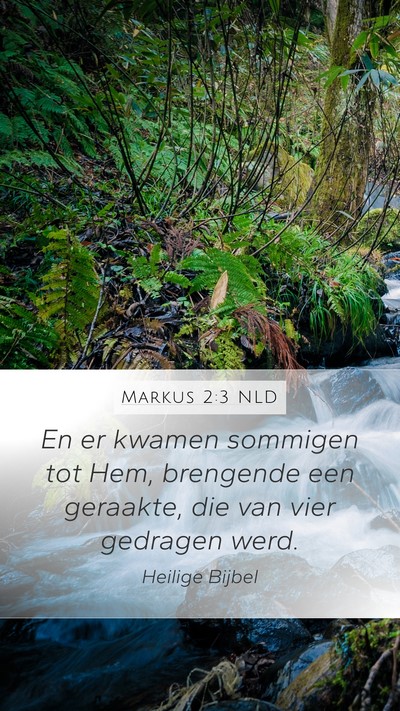 Markus 2:3 NLD Bible Verse Image
