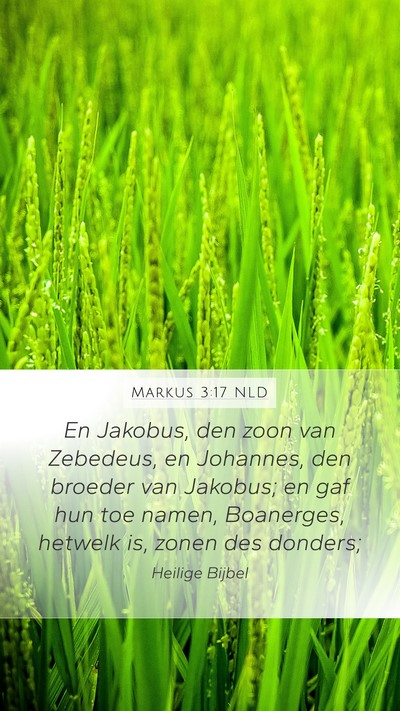 Markus 3:17 NLD Bible Verse Image