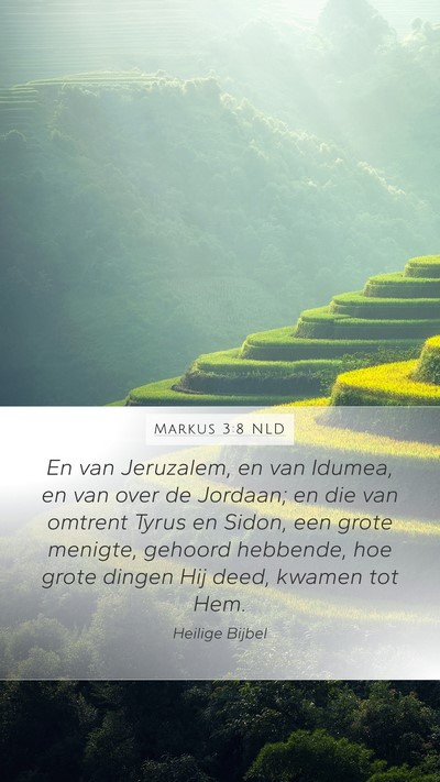 Markus 3:8 NLD Bible Verse Image