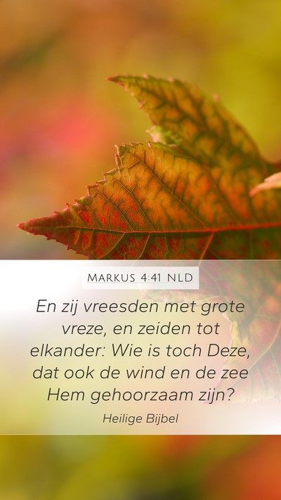 Markus 4:41 NLD Bible Verse Image