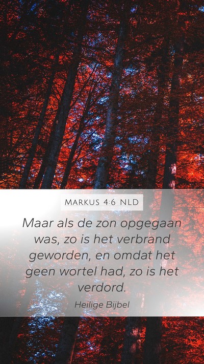Markus 4:6 NLD Bible Verse Image
