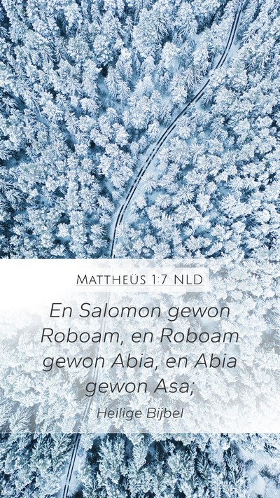Mattheüs 1:7 NLD Bible Verse Image