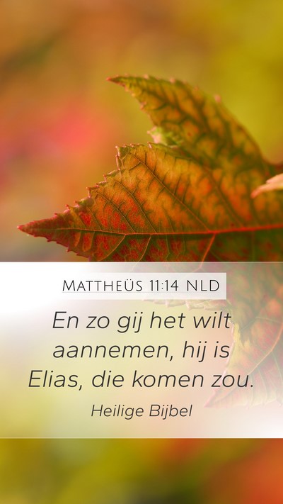 Mattheüs 11:14 NLD Bible Verse Image