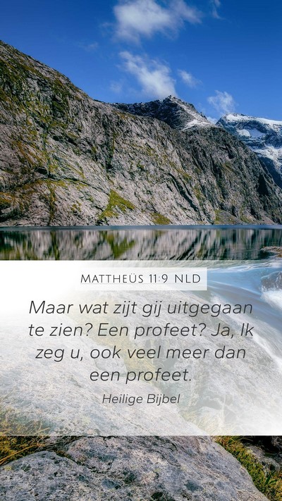Mattheüs 11:9 NLD Bible Verse Image