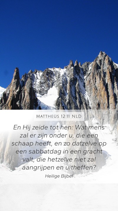Mattheüs 12:11 NLD Bible Verse Image