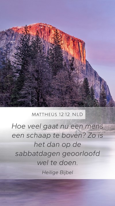 Mattheüs 12:12 NLD Bible Verse Image