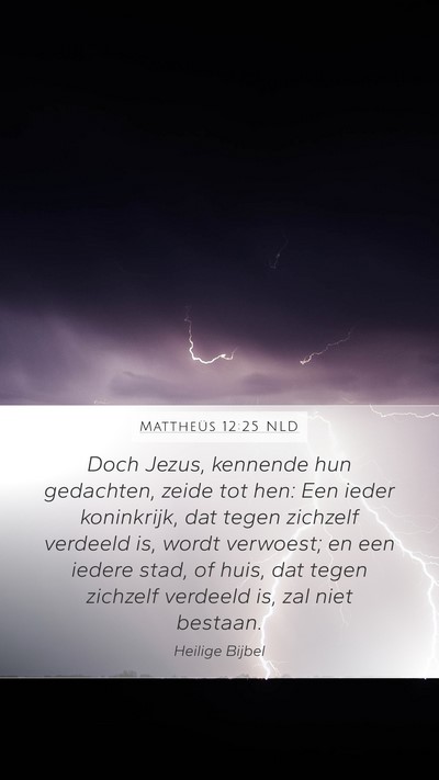 Mattheüs 12:25 NLD Bible Verse Image