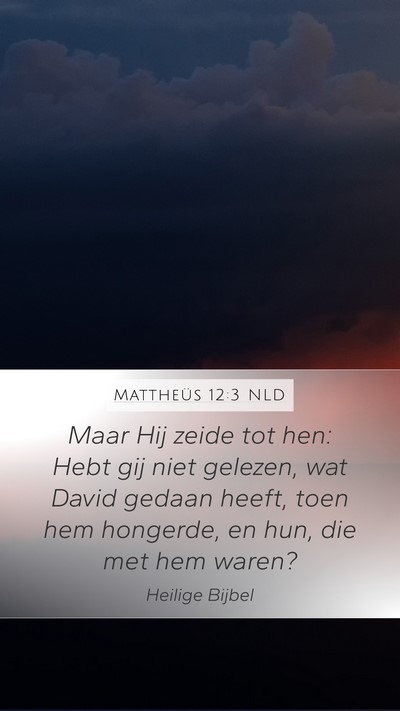Mattheüs 12:3 NLD Bible Verse Image