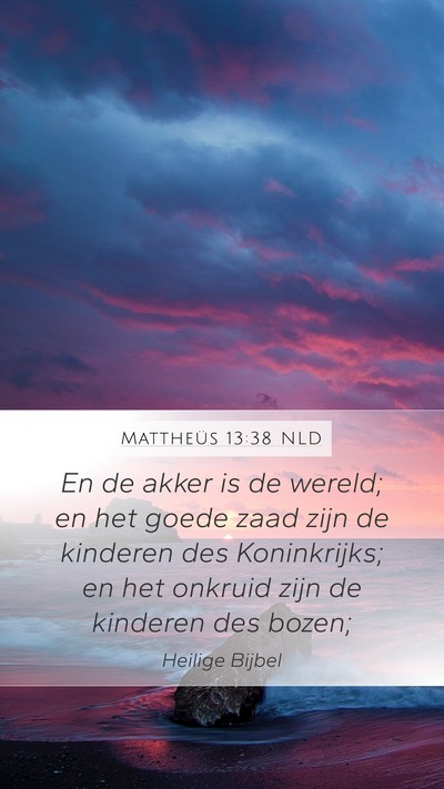 Mattheüs 13:38 NLD Bible Verse Image
