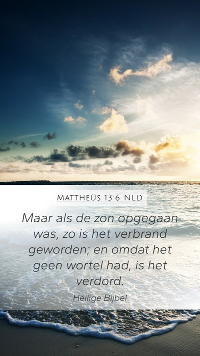 Mattheüs 13:6 NLD Bible Verse Image